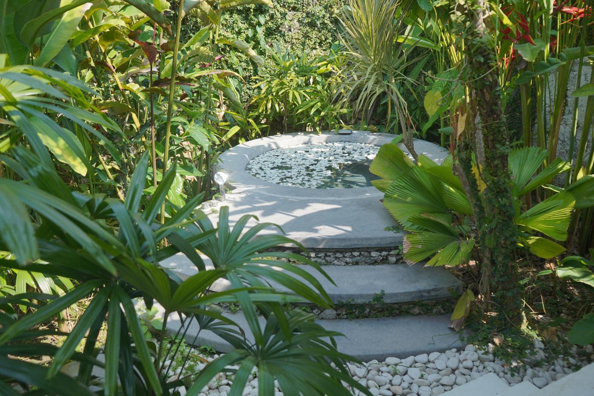 Liv Canggu - An Urban Sanctuary Стая снимка